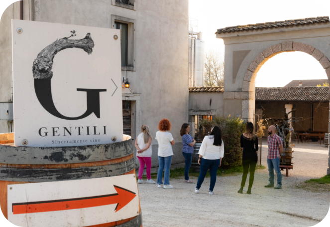 Besichtigung der Weinkellerei Gentili